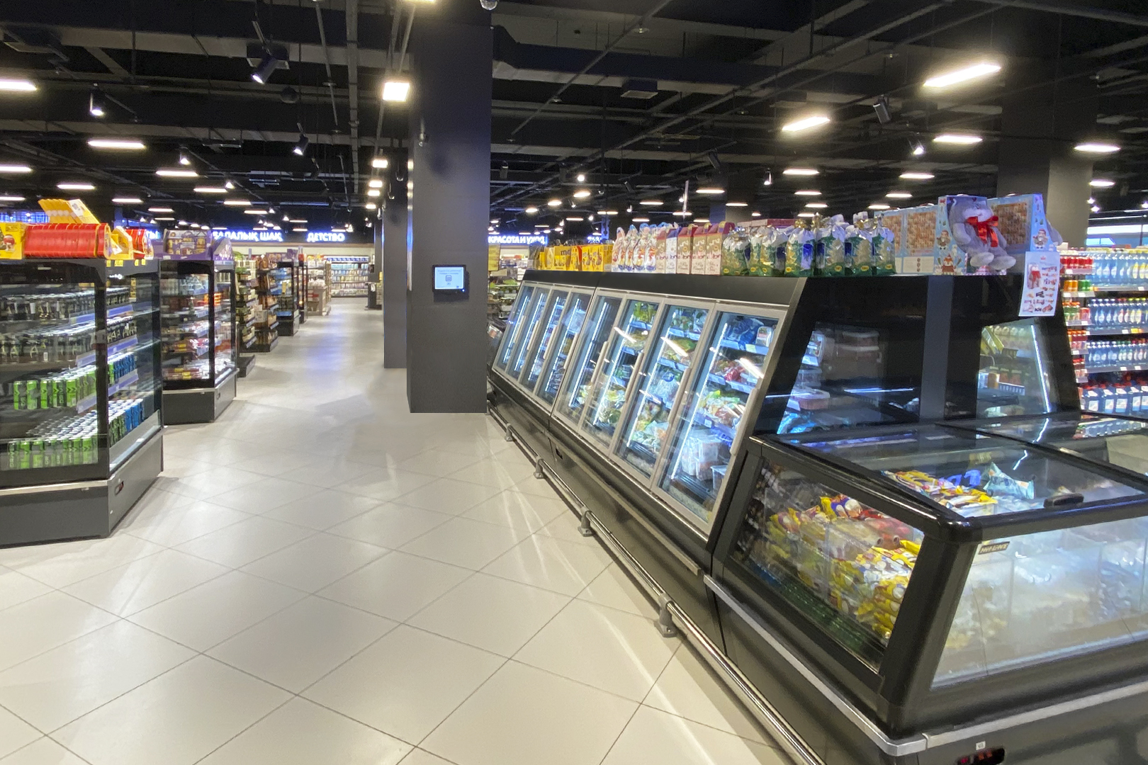 Витрина для замороженных продуктов Indiana eco ASV 100 LT D 160-DLA - 1250