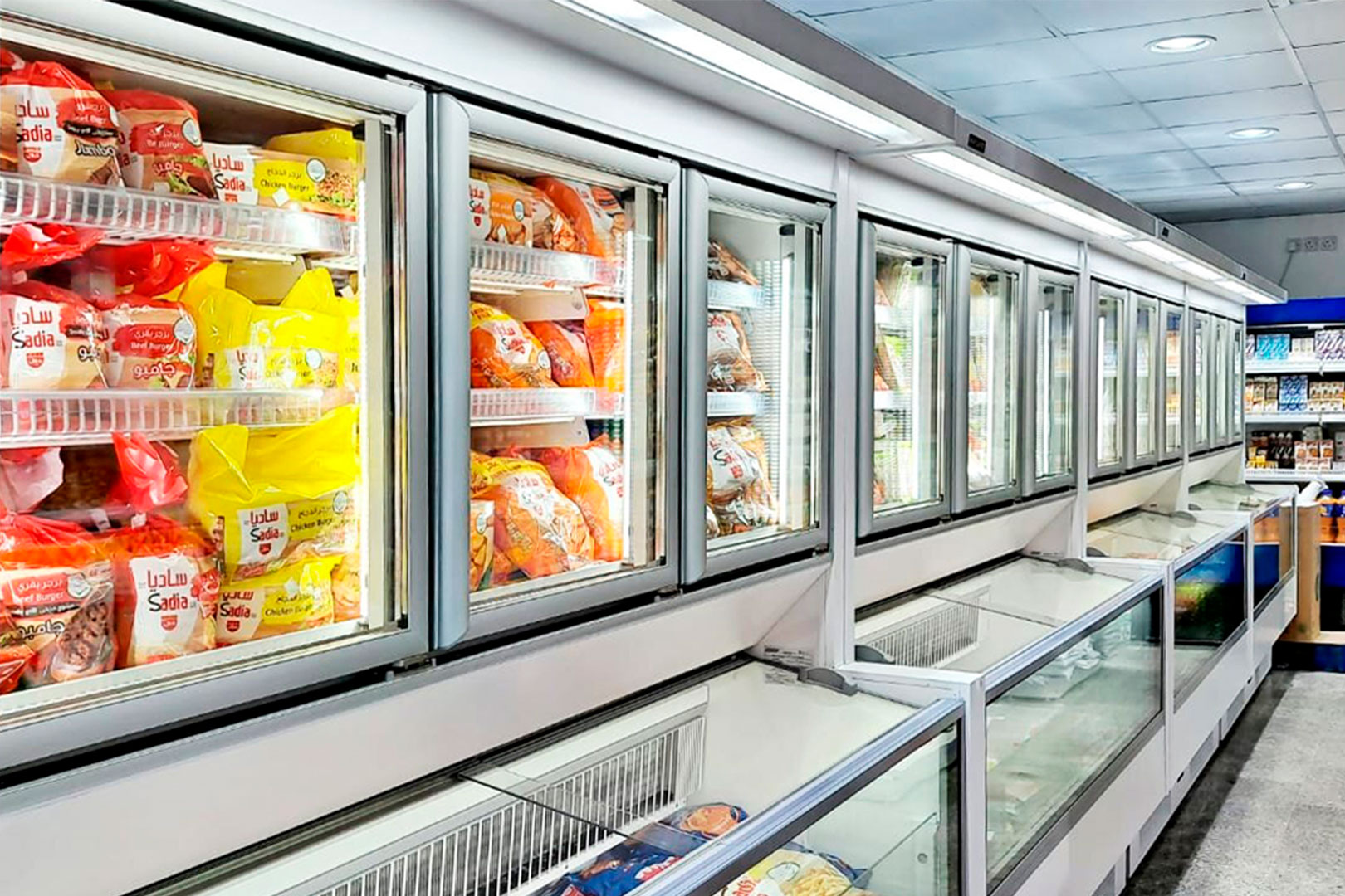 Витрина для замороженных продуктов Alaska combi 2 AHV 090 LT D/C 200-D/SLA - 1250